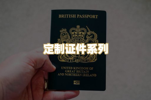 定制证件系列